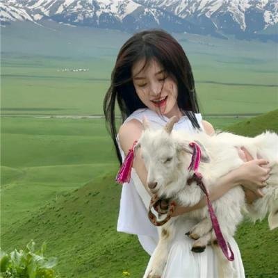 这里的黎明静悄悄